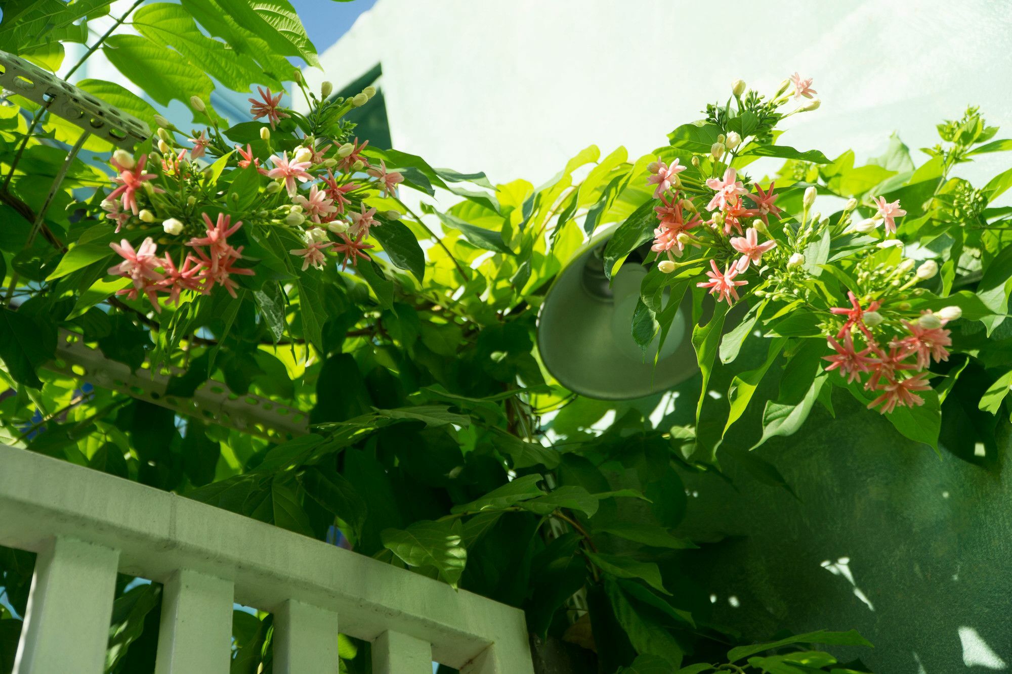 Nha Homestay Da Nang Exterior photo