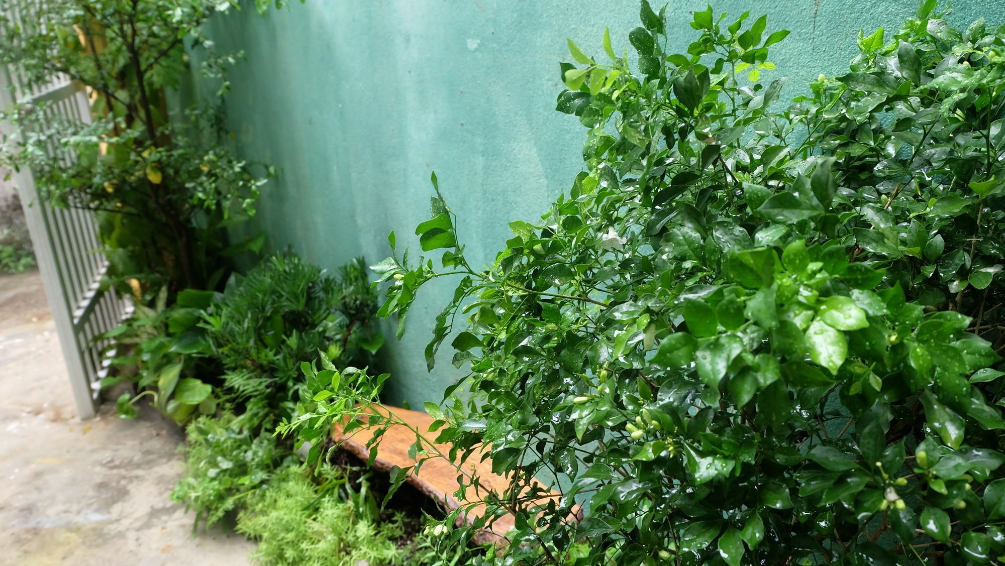 Nha Homestay Da Nang Exterior photo